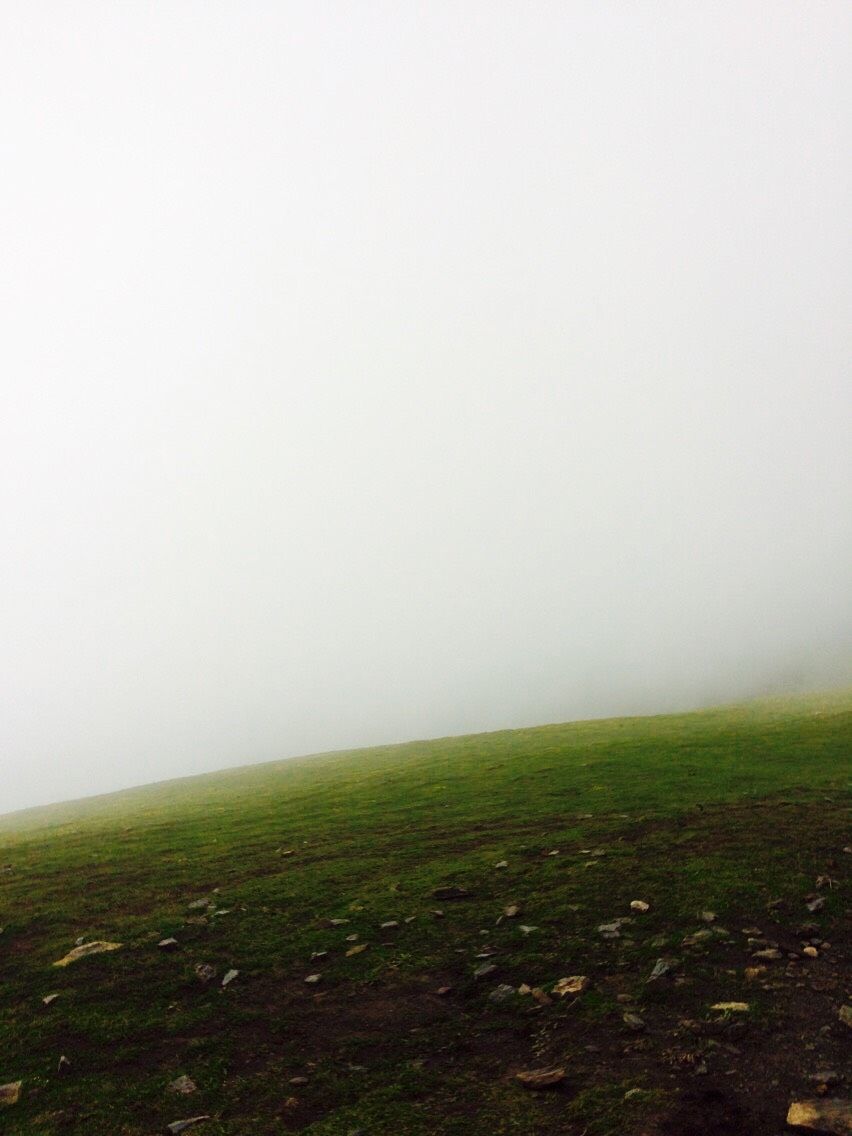 Photo of The Bedini Bugyal Trek by Salman Faris