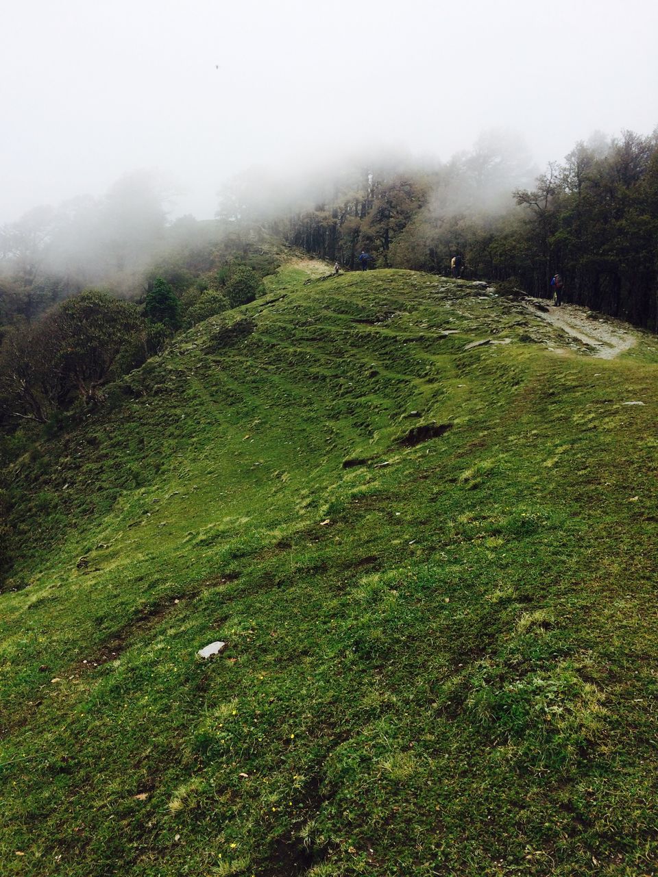 Photo of The Bedini Bugyal Trek by Salman Faris
