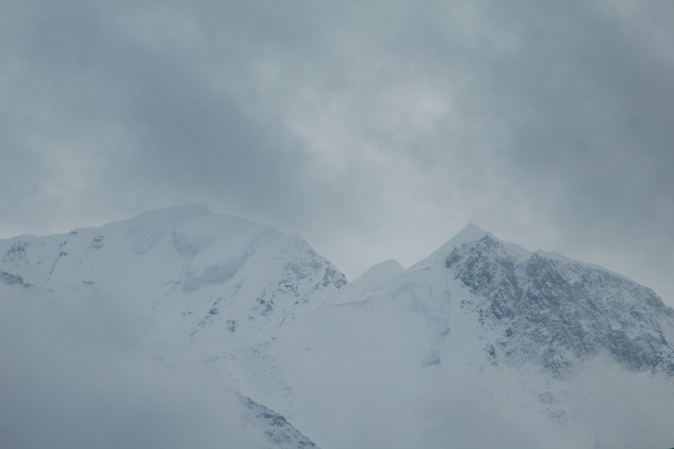 Photo of The Bedini Bugyal Trek by Salman Faris