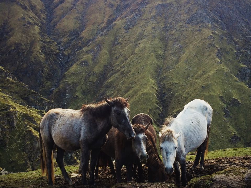 Photo of Kalu Vinayak, Chamoli, Uttarakhand, India by Salman Faris