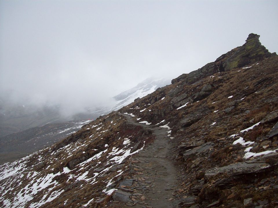 Photo of The Bedini Bugyal Trek by Salman Faris