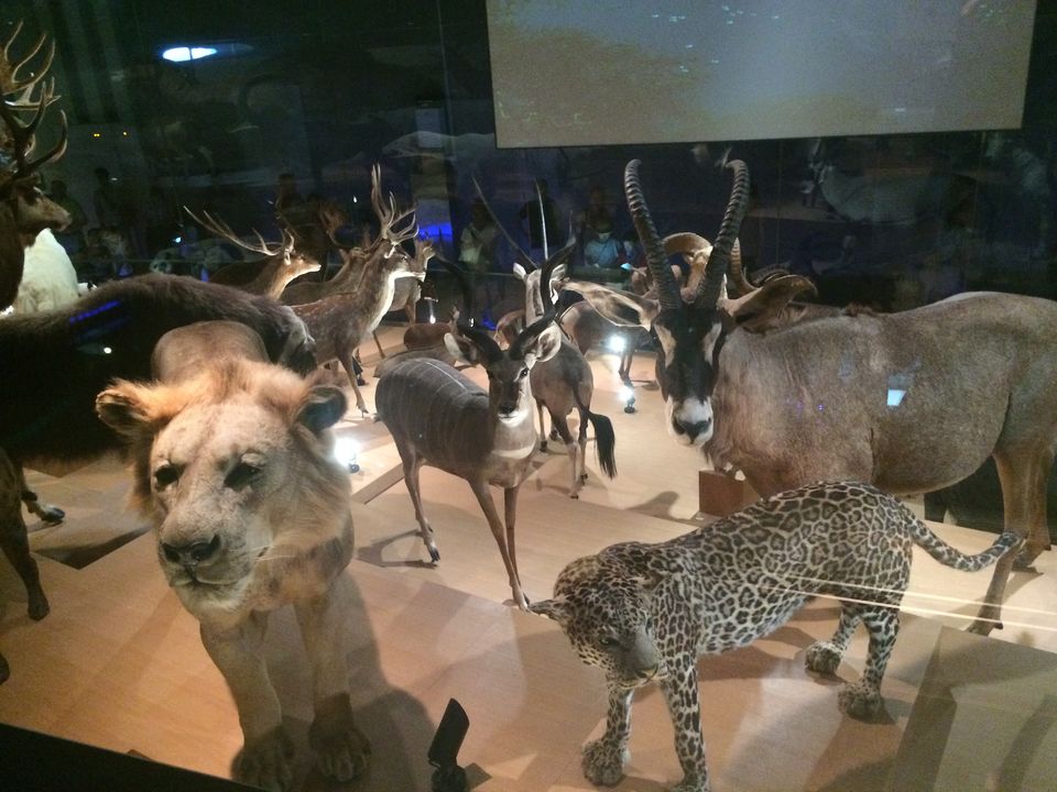 Photo of Kahoku - science museum in a park! by Pallav Jain
