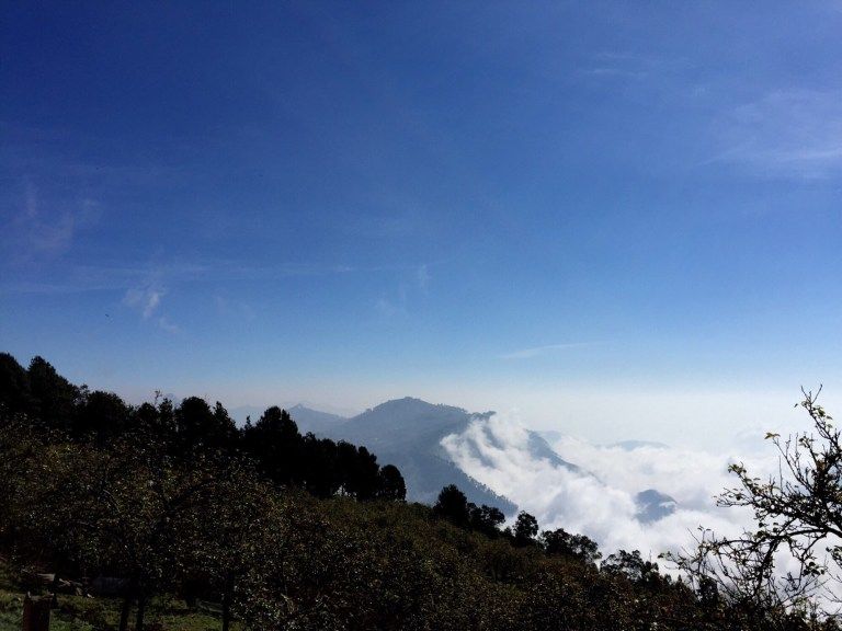 Photo of Kodaikanal — Princess of Hill Stations 1/1 by Stuti Gupta