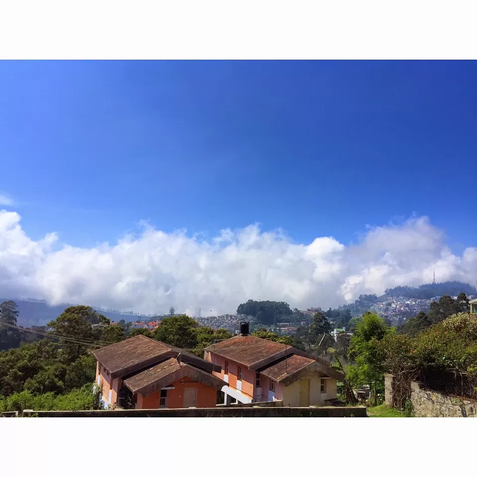 Photo of Kurinji Andavar Temple Road, Kodaikanal, Tamil Nadu, India by Stuti Gupta