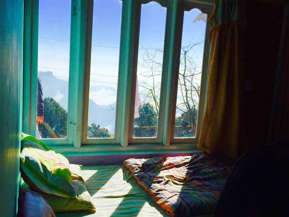 Photo of Vattakanal, Kodaikanal, Tamil Nadu, India by Stuti Gupta
