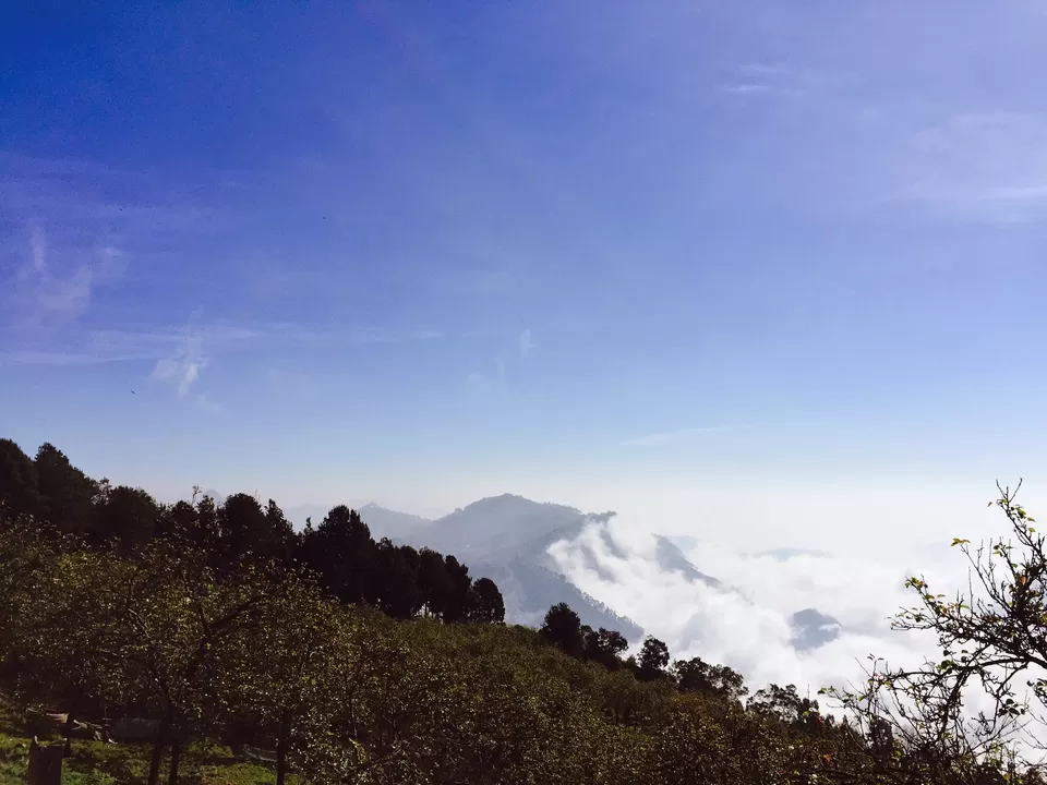 Photo of Vattakanal Cliff Viewpoint, Vattakanal, Kodaikanal, Tamil Nadu, India by Stuti Gupta