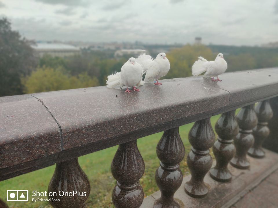 Photo of When visiting Russia doesn't give a dent in your pocket by Prithhvi Shah