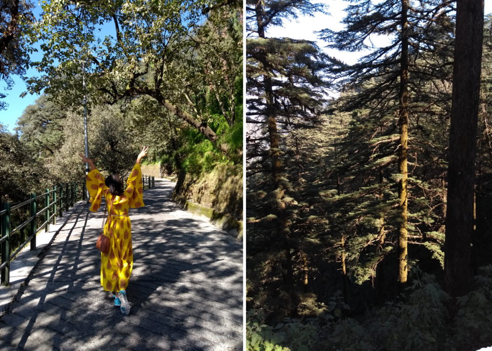 Photo of Here's How I fell in Love with Mussoorie in 2 Days by Diksha Bhandari
