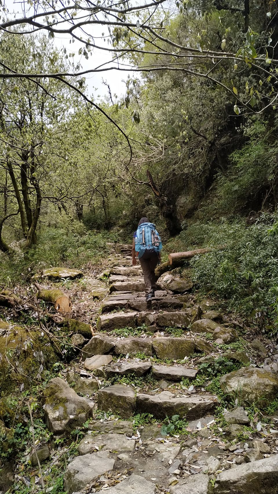 Photo of Kareri Lake: This Lesser Known Weekend Trek in Himachal Must Be on Every Trekker's List by Diksha Bhandari