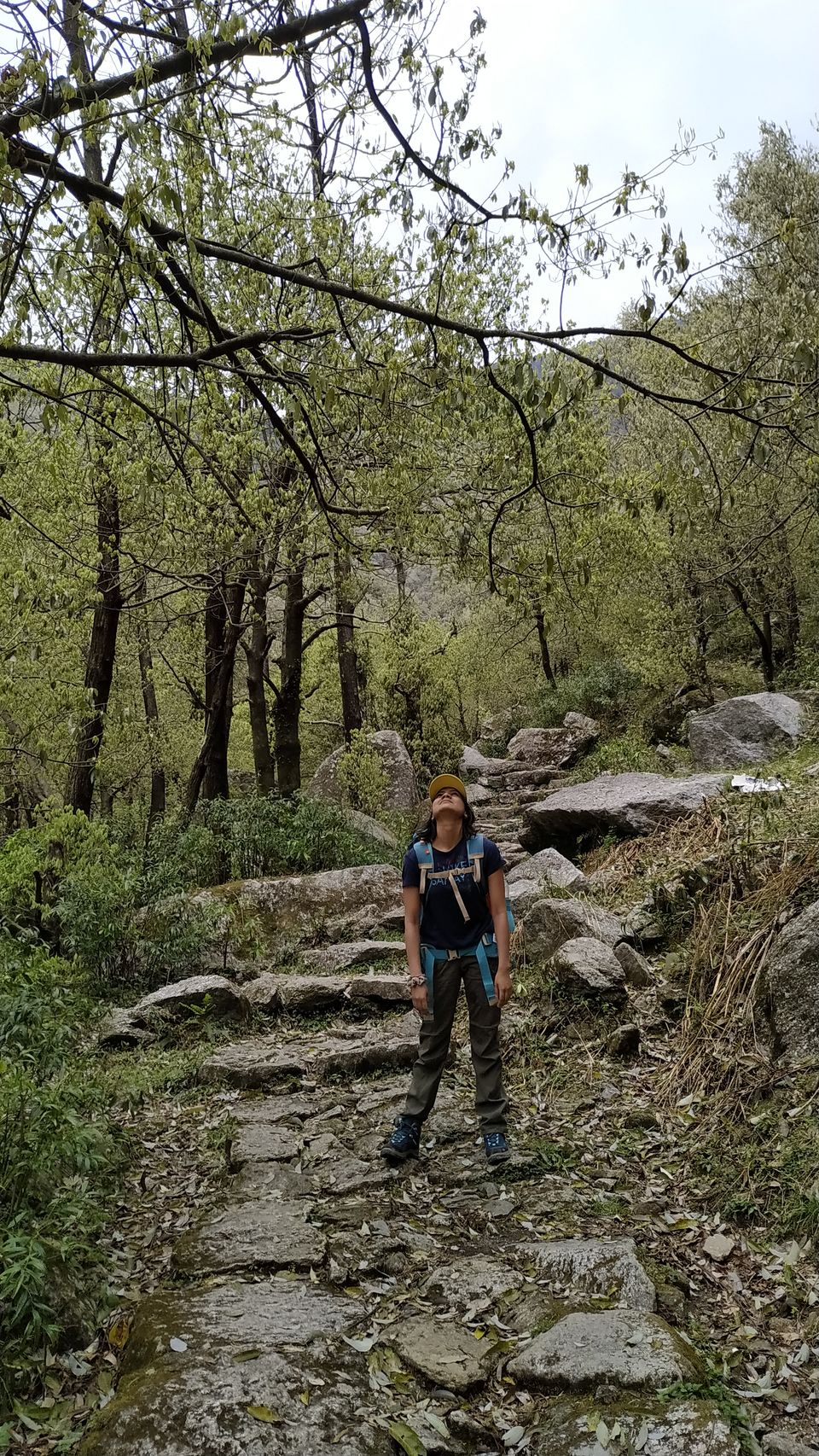 Photo of Kareri Lake: This Lesser Known Weekend Trek in Himachal Must Be on Every Trekker's List by Diksha Bhandari