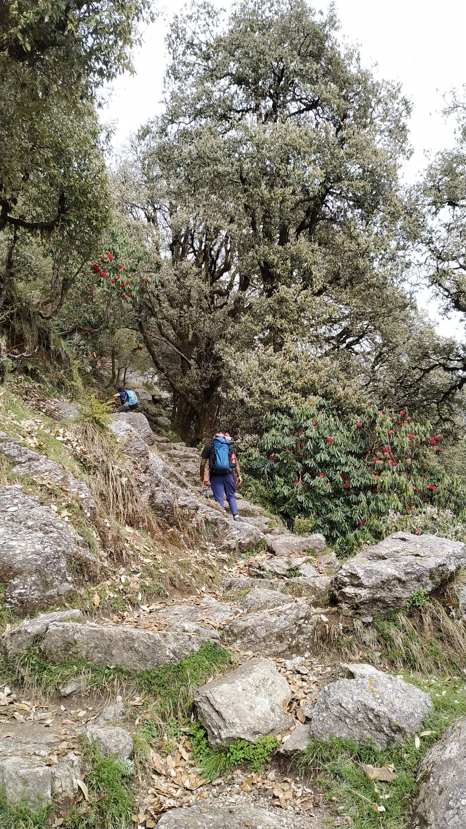Photo of Kareri Lake: This Lesser Known Weekend Trek in Himachal Must Be on Every Trekker's List by Diksha Bhandari