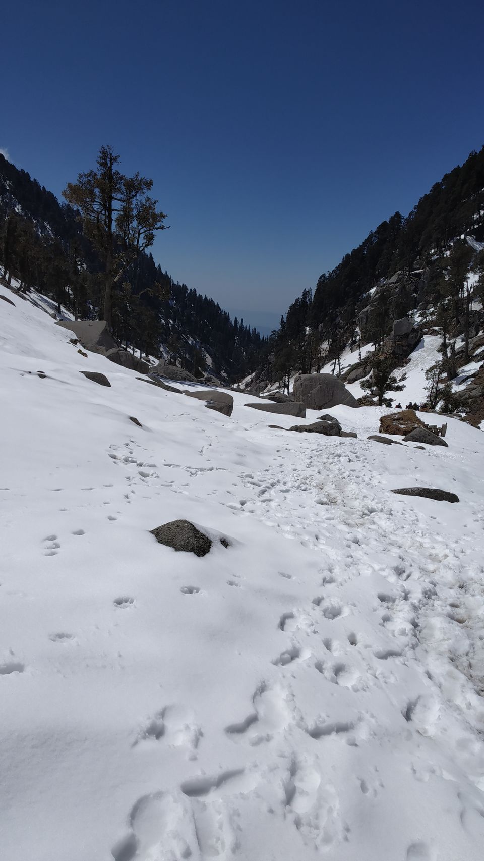Photo of Kareri Lake: This Lesser Known Weekend Trek in Himachal Must Be on Every Trekker's List by Diksha Bhandari