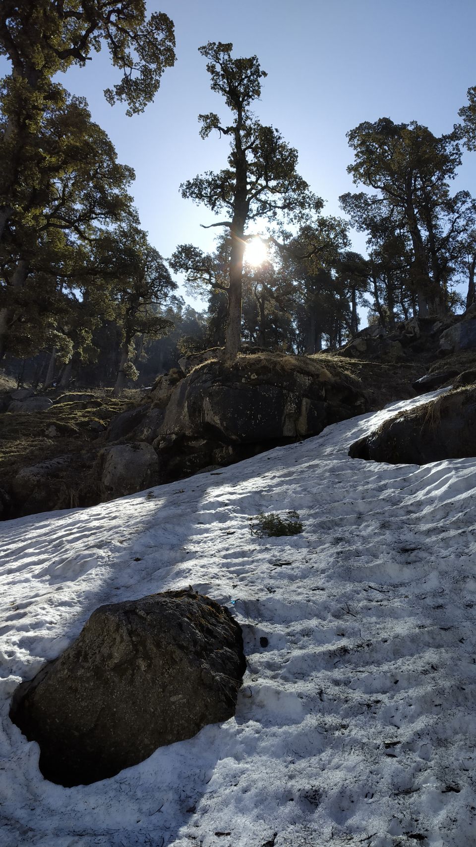 Photo of Kareri Lake: This Lesser Known Weekend Trek in Himachal Must Be on Every Trekker's List by Diksha Bhandari