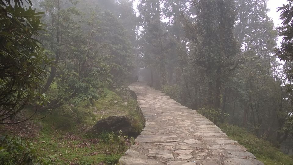 Photo of Deoria taal and Chandershila peak trek 6/20 by Farid Uddin