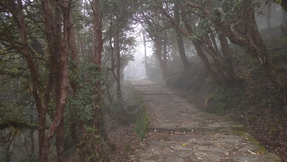 Photo of Deoria taal and Chandershila peak trek 7/20 by Farid Uddin