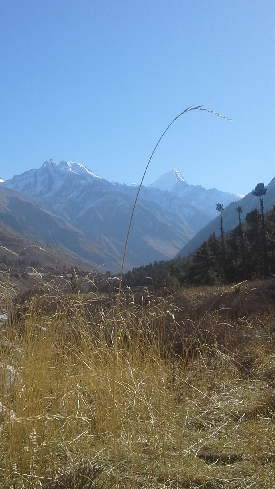 Photo of Chitkul: Where imagination takes shape 2/7 by Farid Uddin