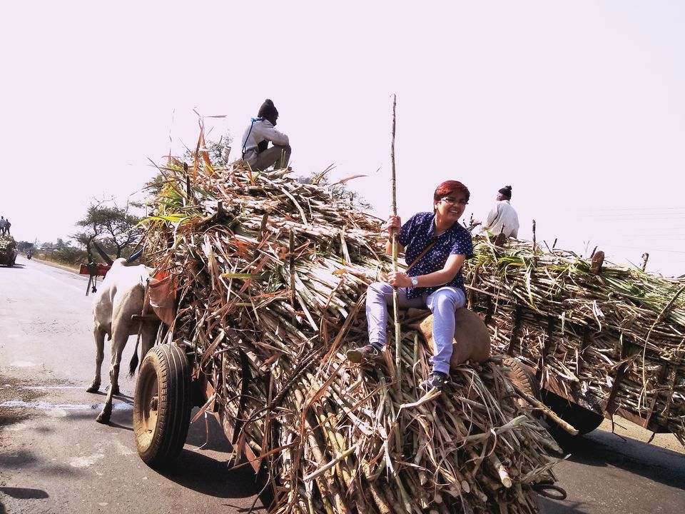 Photo of Maharashtra- A journey of vibrant Land by Shweta Yadav