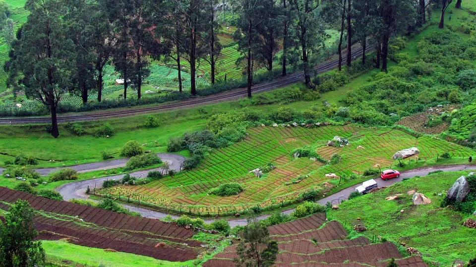 Photo of Ooty, Tamil Nadu, India by Tejpal Choudhary