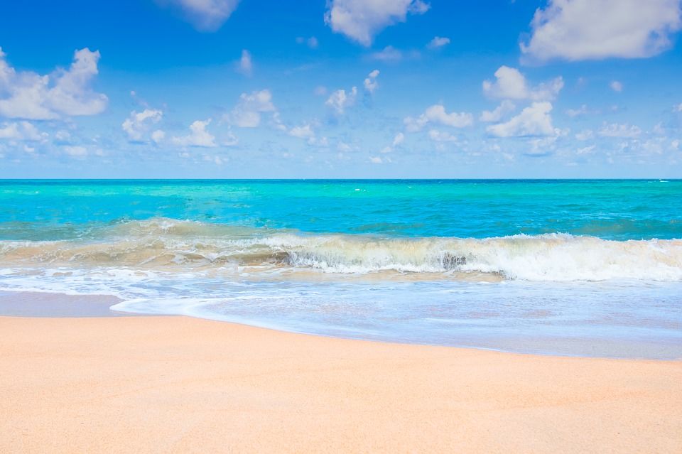 Photo of Andaman Island's Famous Beaches Tour by Tejpal Choudhary