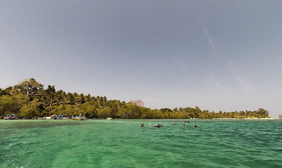 Photo of Havelock Island, Andaman and Nicobar Islands by Tejpal Choudhary