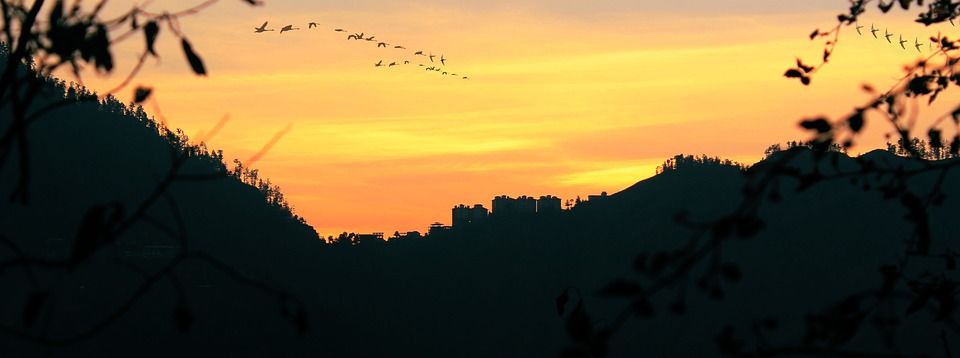Photo of Shimla, Himachal Pradesh, India by Tejpal Choudhary