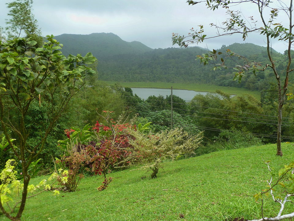 Photo of Grand Etang National Park, St Andrews, Grenada by Amanda Sutcliffe
