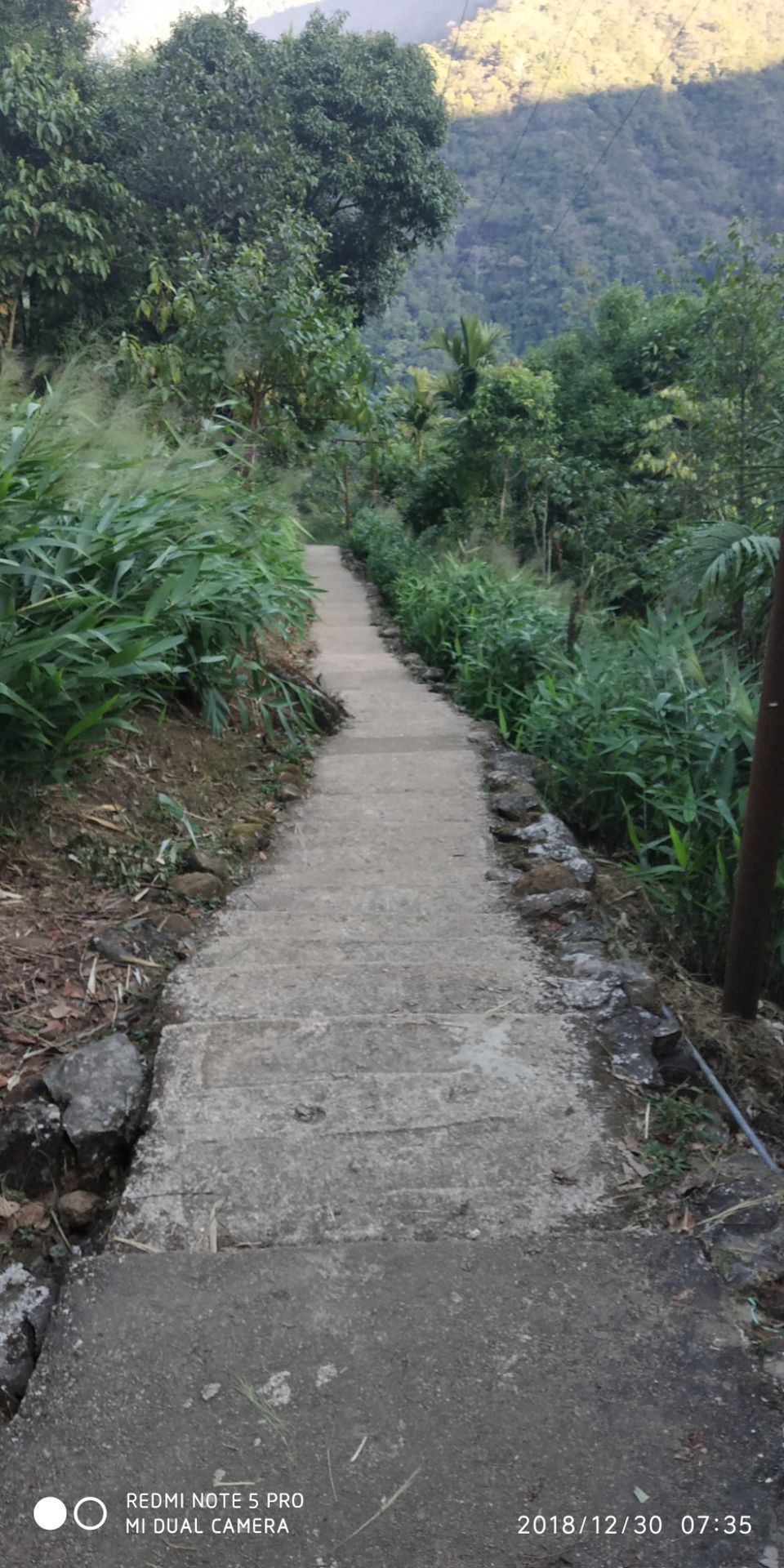 Photo of Short trip to Cheerapunji, Dawki, Shillong by Bhagyashree Masurkar