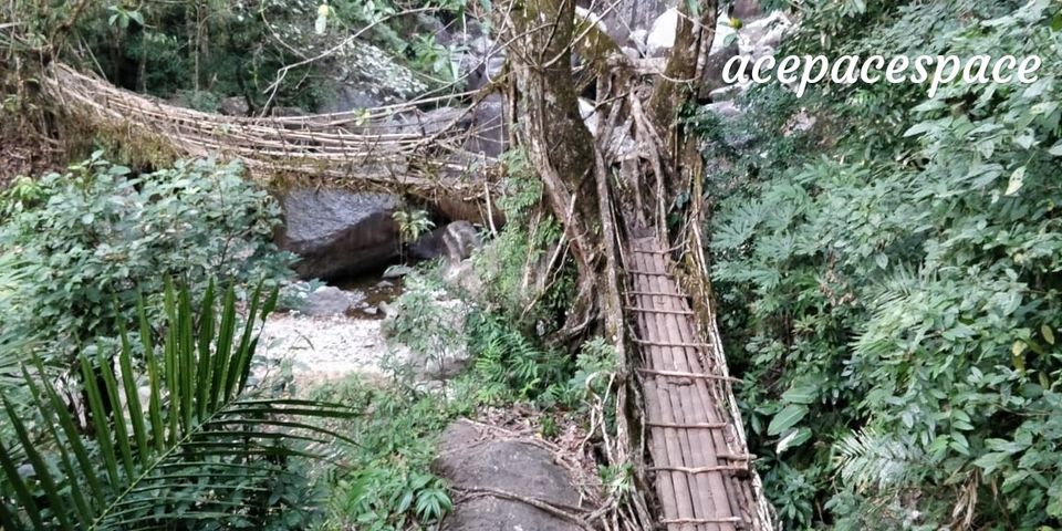 Photo of Short trip to Cheerapunji, Dawki, Shillong by Bhagyashree Masurkar