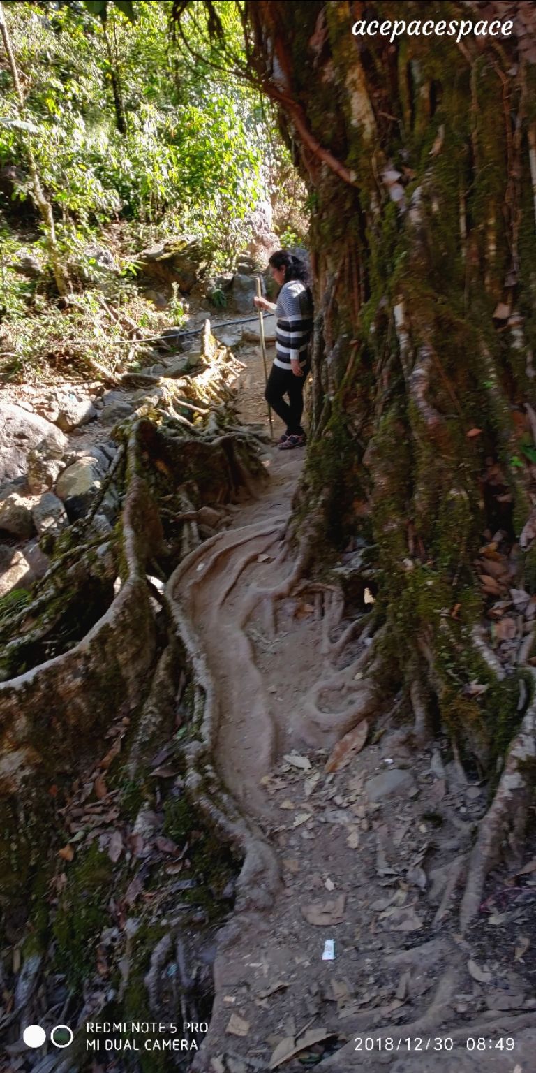 Photo of Short trip to Cheerapunji, Dawki, Shillong by Bhagyashree Masurkar