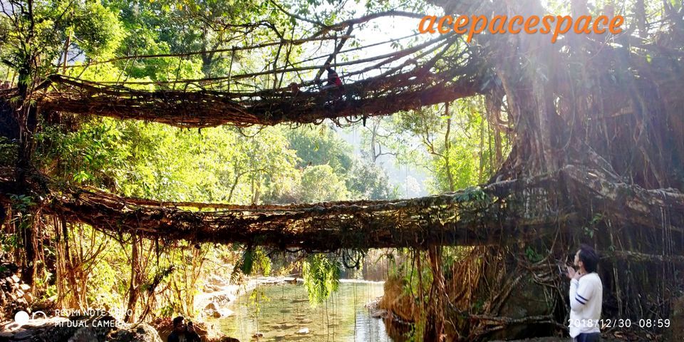 Photo of Jingkieng Nongriat Double Decker Living Root Bridge, Meghalaya, India by Bhagyashree Masurkar
