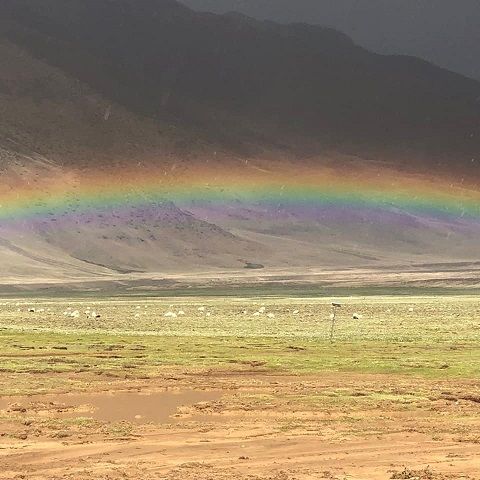 Photo of Kailash Mansarovar Yatra... The obode of Lord Shiva- Spiritual Centre of the World 16/16 by Bhagyashree Masurkar