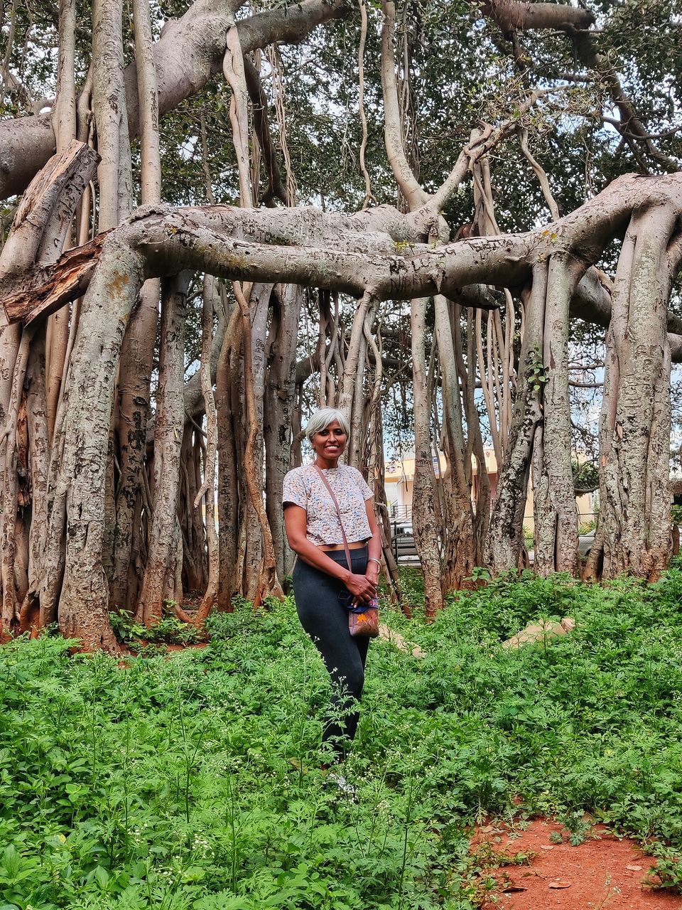 Photo of Weekend gateway - Femous for movie shoots- -400 years + Big Banyan tree or walking tree - by Bhagyashree Masurkar