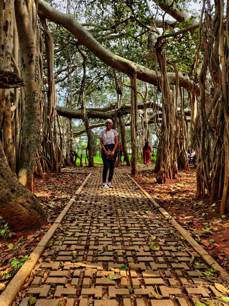 Photo of Weekend gateway - Femous for movie shoots- -400 years + Big Banyan tree or walking tree - by Bhagyashree Masurkar