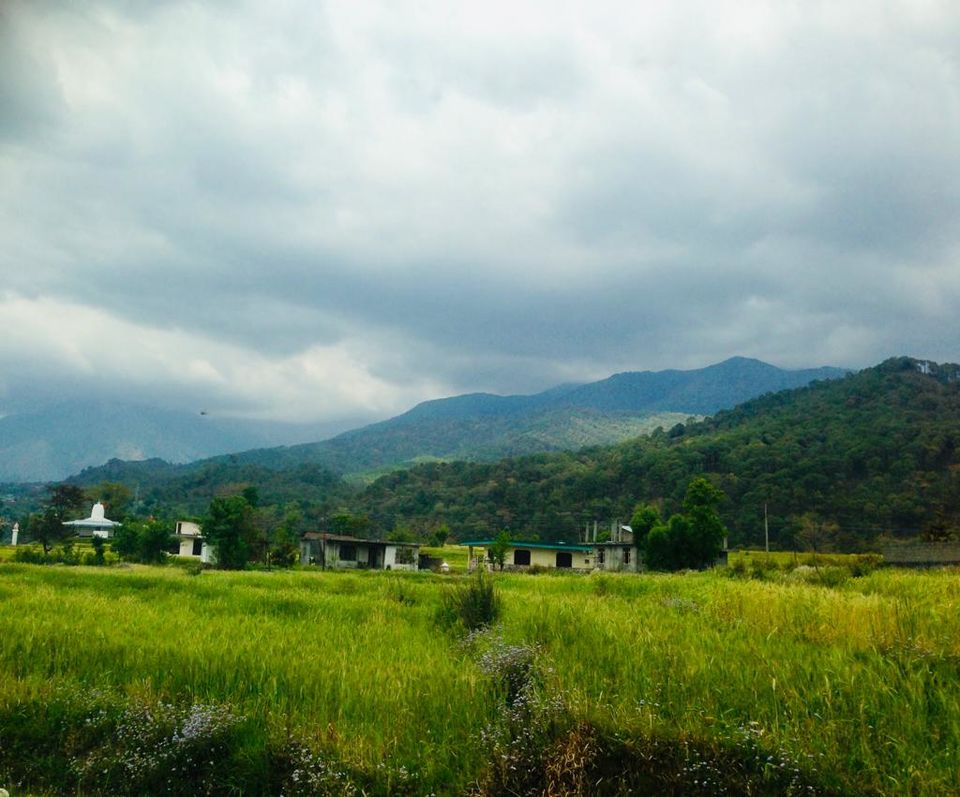 Photo of Palampur - Paradise in Himachal Pradesh by Kimmi Dhiman