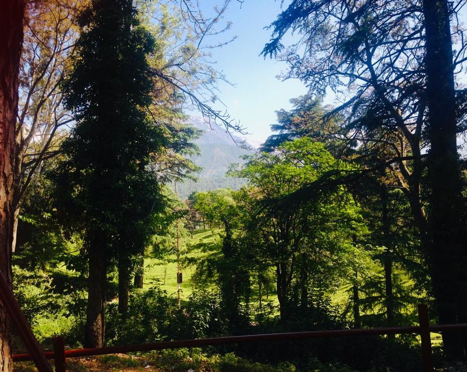 Photo of Palampur - Paradise in Himachal Pradesh by Kimmi Dhiman