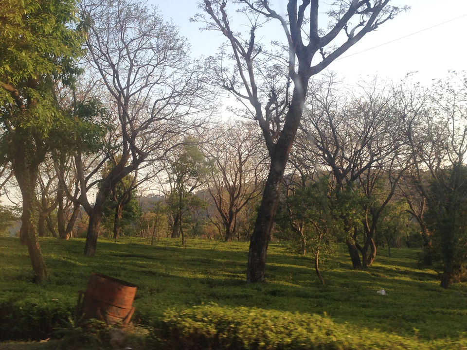 Photo of Palampur - Paradise in Himachal Pradesh by Kimmi Dhiman