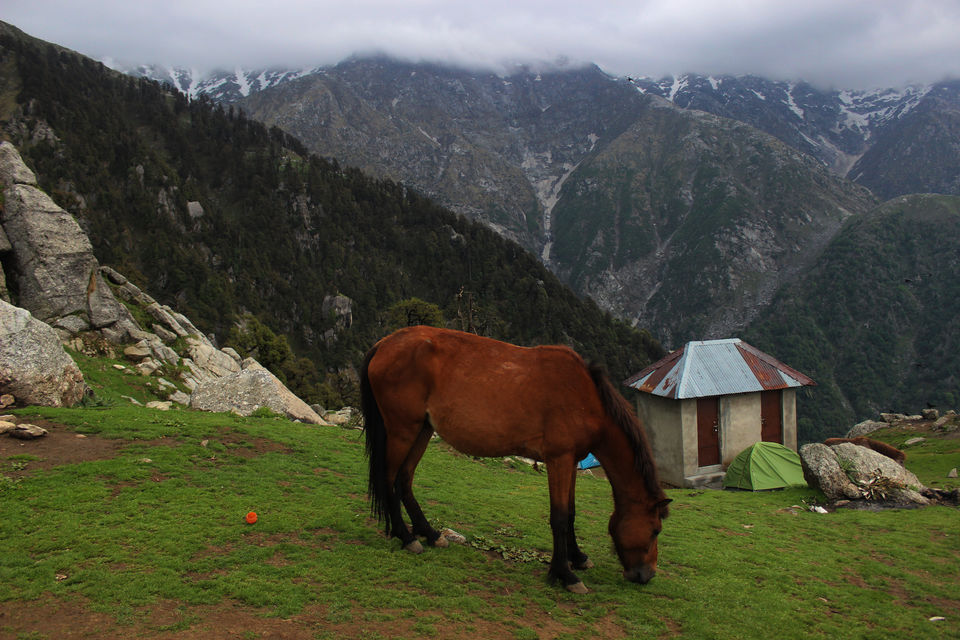 Photo of Triund Trek: Two School Best Friends' Adventure by Shruti Mishra