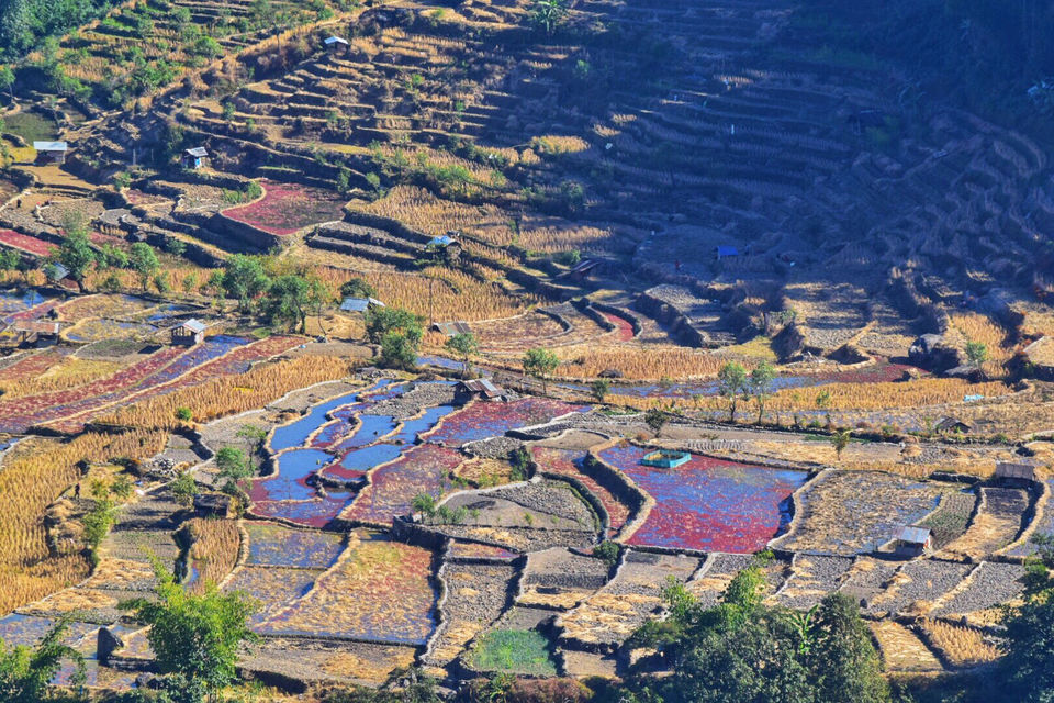 Photo of Camp David, Kigwema, Nagaland, India by Shinjan Chakraborty