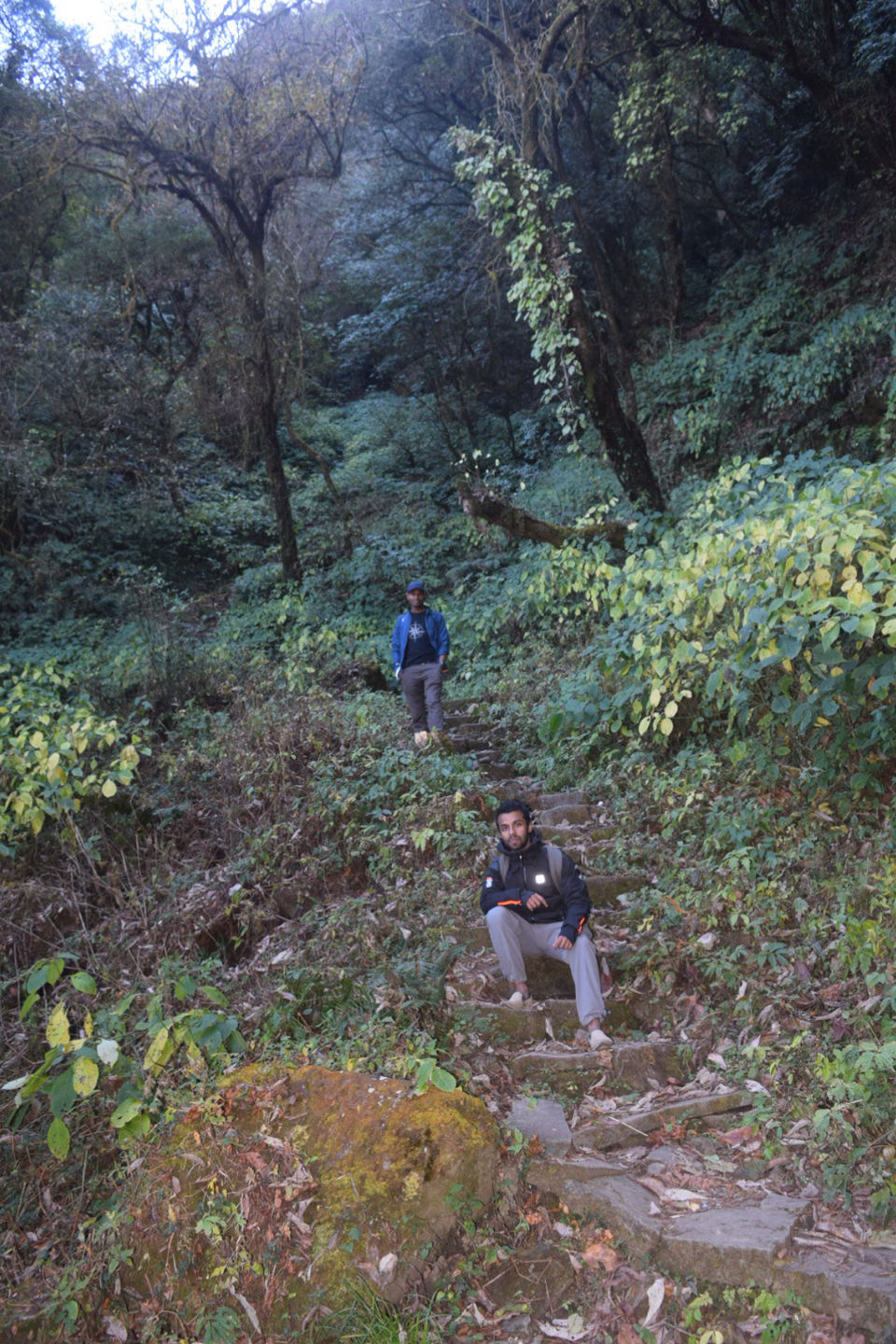 Photo of Dzükou Valley, Viswema, Nagaland, India by Shinjan Chakraborty