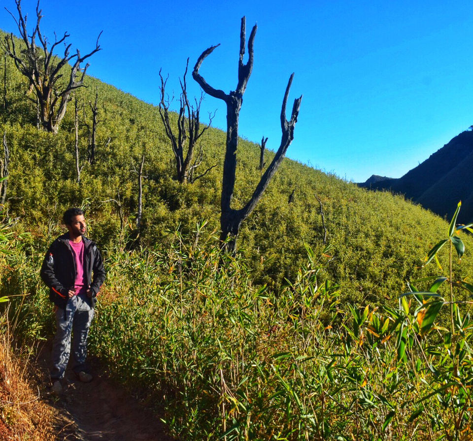Photo of Dzükou Valley, Viswema, Nagaland, India by Shinjan Chakraborty