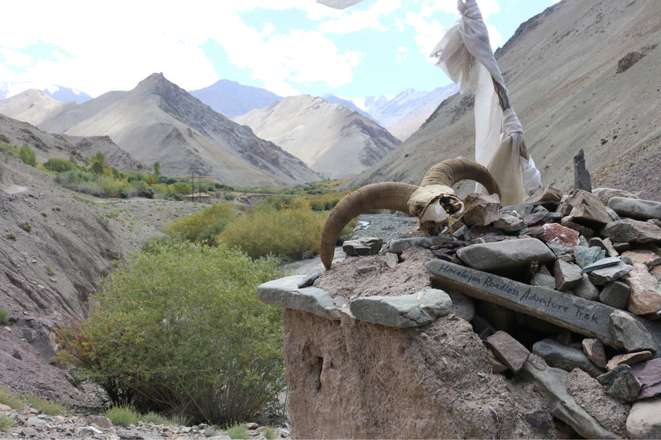 Photo of Markha Valley- A Trekker's Dream And An Unexplored Paradise In Ladakh by Shubhangi Jeswal