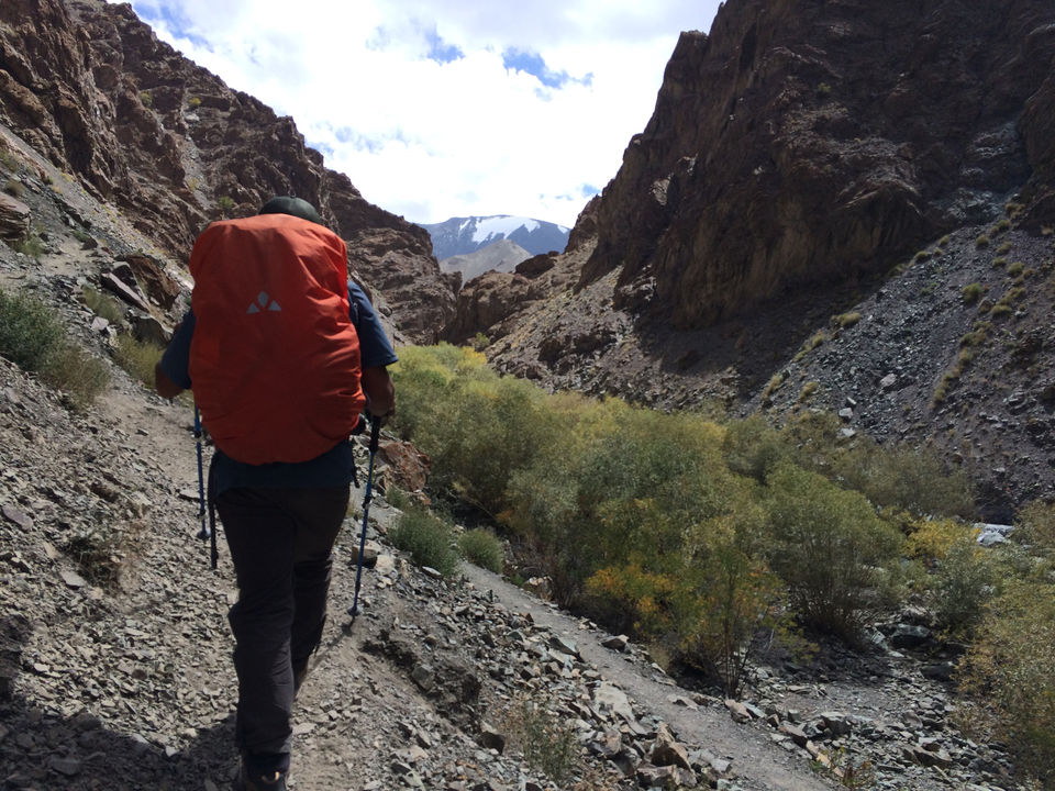 Photo of Markha Valley- A Trekker's Dream And An Unexplored Paradise In Ladakh by Shubhangi Jeswal