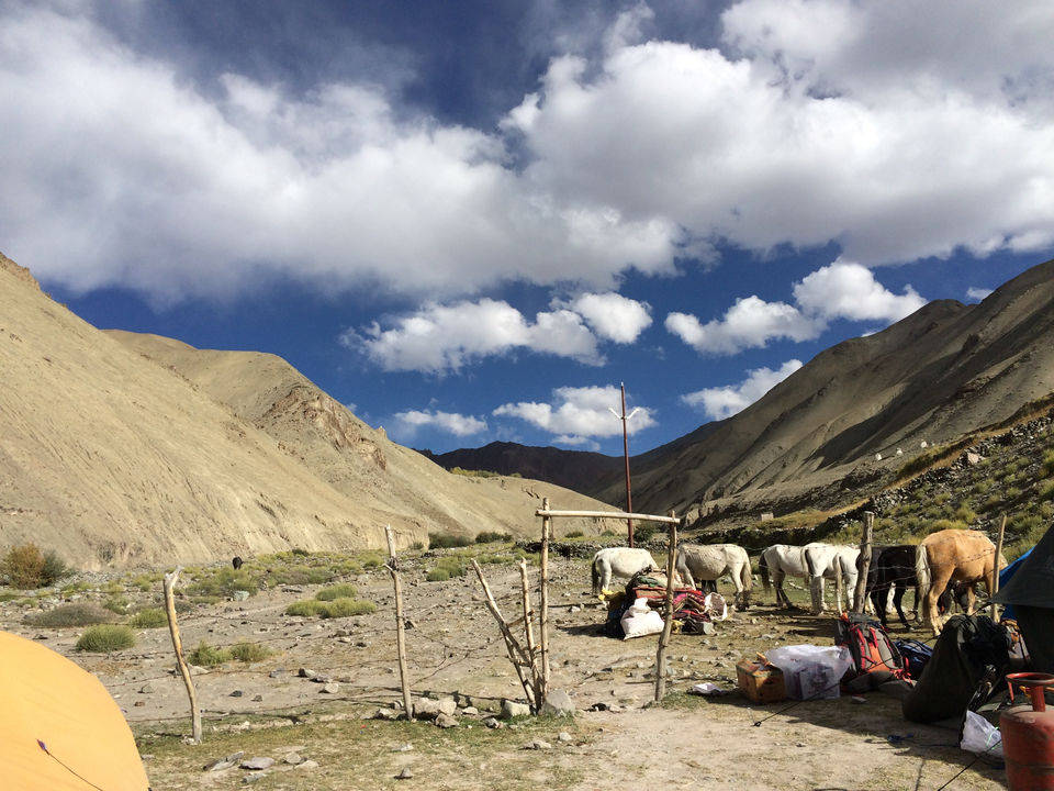 Photo of Markha Valley- A Trekker's Dream And An Unexplored Paradise In Ladakh by Shubhangi Jeswal