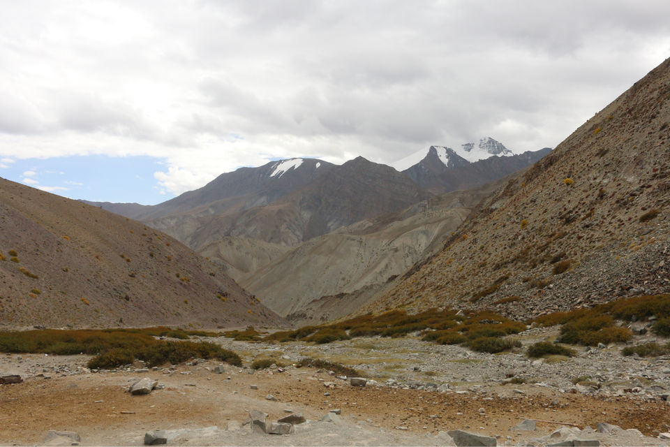 Photo of Markha Valley- A Trekker's Dream And An Unexplored Paradise In Ladakh by Shubhangi Jeswal