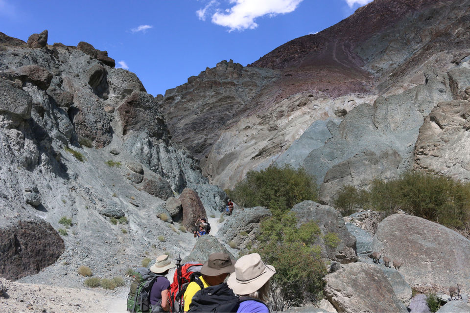 Photo of Markha Valley- A Trekker's Dream And An Unexplored Paradise In Ladakh by Shubhangi Jeswal