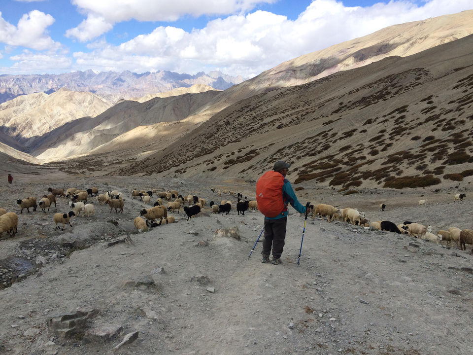 Photo of Markha Valley- A Trekker's Dream And An Unexplored Paradise In Ladakh by Shubhangi Jeswal