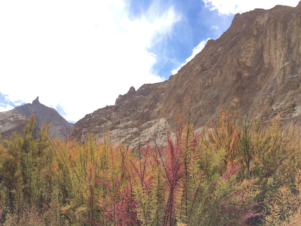 Photo of Markha Valley- A Trekker's Dream And An Unexplored Paradise In Ladakh by Shubhangi Jeswal