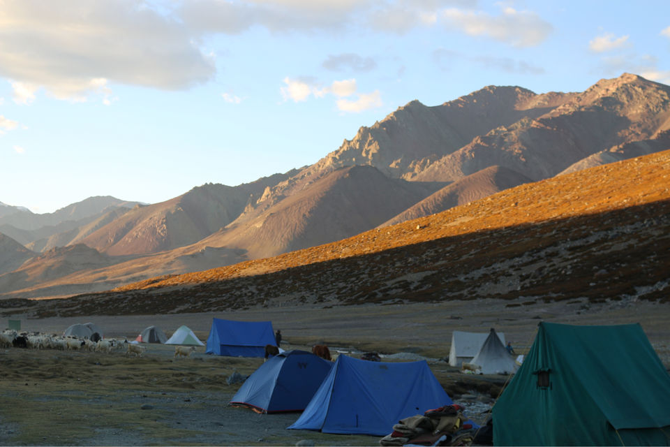 Photo of Markha Valley- A Trekker's Dream And An Unexplored Paradise In Ladakh by Shubhangi Jeswal