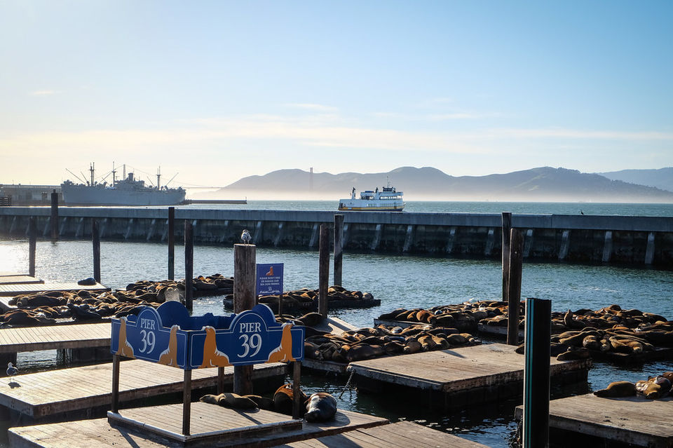 Photo of Fisherman's Wharf, San Francisco, CA, United States by Shubhangi Jeswal