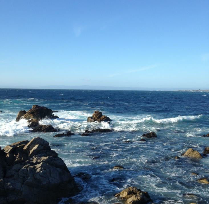 Photo of 1 Highway 1, Carmel-by-the-Sea, California, United States by Shubhangi Jeswal